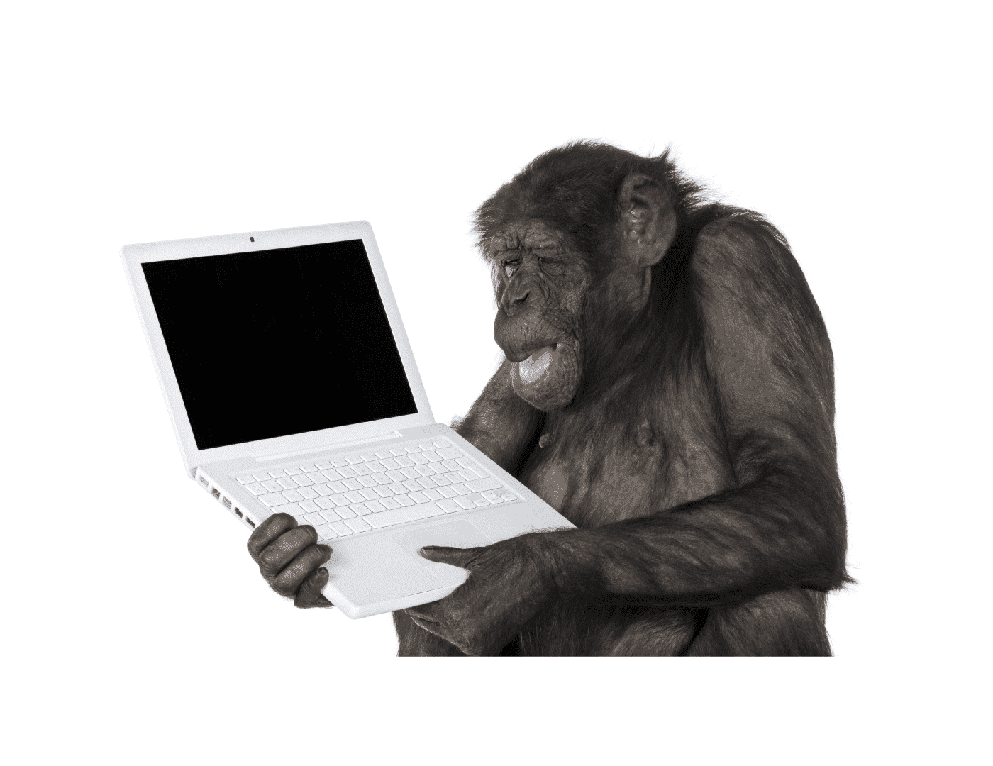 モンキーテスト【monkey testing】とは、別名「アドホックテスト、ゲリラテスト」とも呼ばれます。